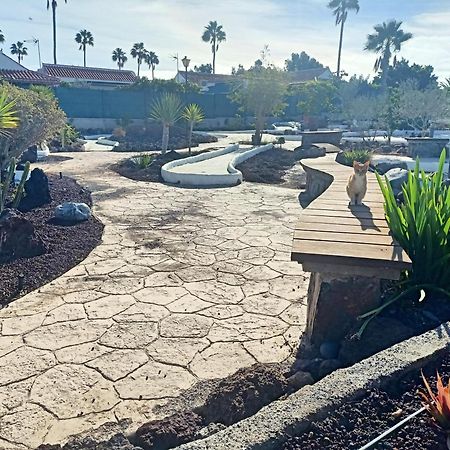 Bungalow En El Sur De Gran Canaria Лас Палмас де Гран Канария Екстериор снимка